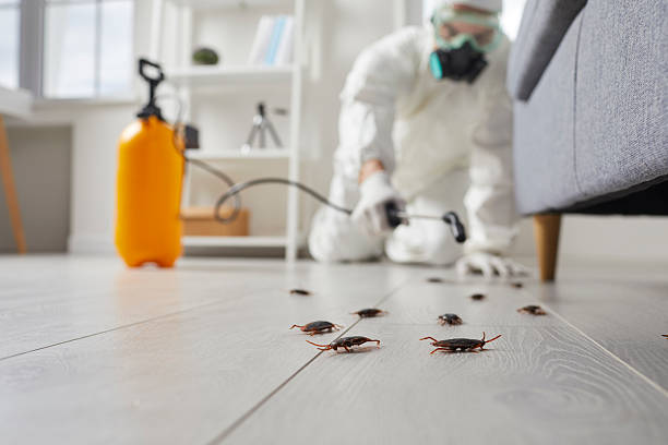 Commercial Kitchen Cockroach Control in Colonial Heights