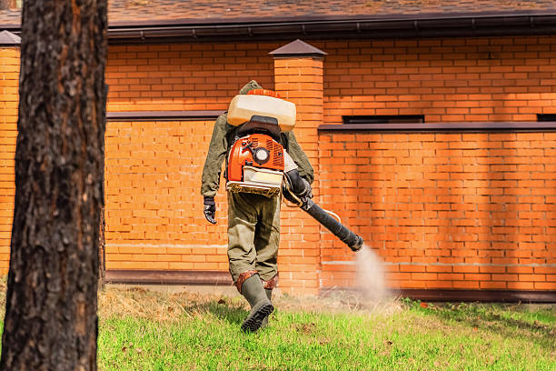 Cockroach Follow-Up and Monitoring in Colonial Heights